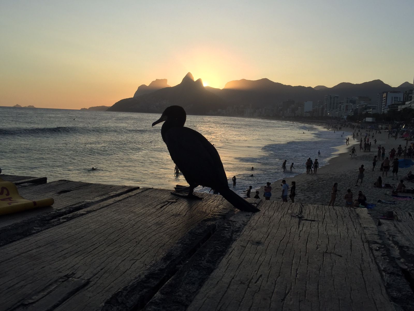 Estudantes de Santos vão atuar na prática para o monitoramento dos oceanos