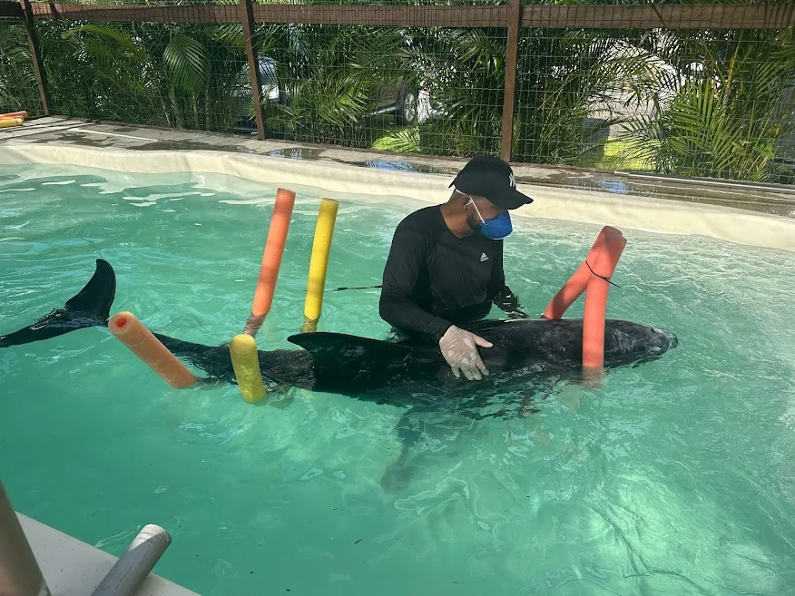 Estudantes de Santos vão atuar na prática para o monitoramento dos oceanos  - Diário do Litoral